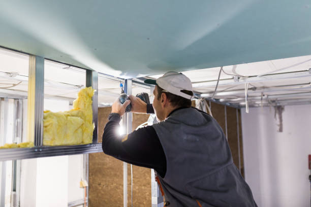 Best Types of Insulation in Palatine, IL