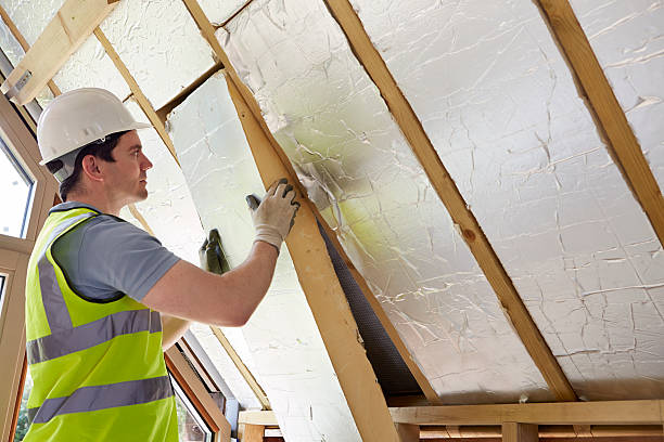 Best Insulation Installation Services in Palatine, IL
